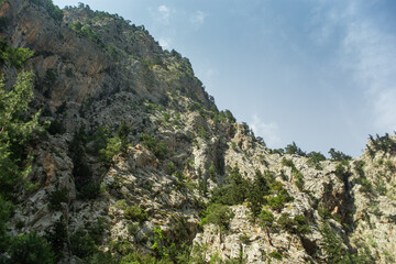 High mountains and green pine forest in the afternoon in summer