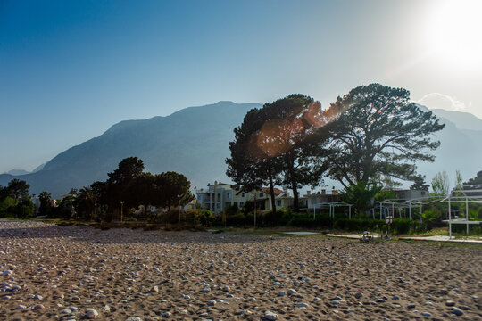 High mountains and green pine forest in the afternoon in summer