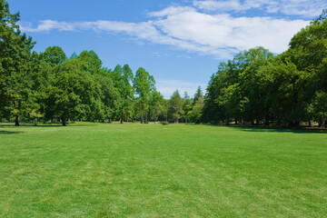 Plakat green park