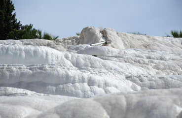 Fototapeta na wymiar Carbonate mineral cliff with calcite-laden waters in Hierapolis Pamukkale in Turkey