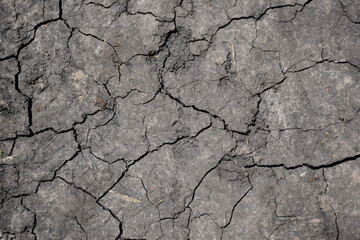 Dry, cracked lifeless earth all over the frame illuminated by the bright sun