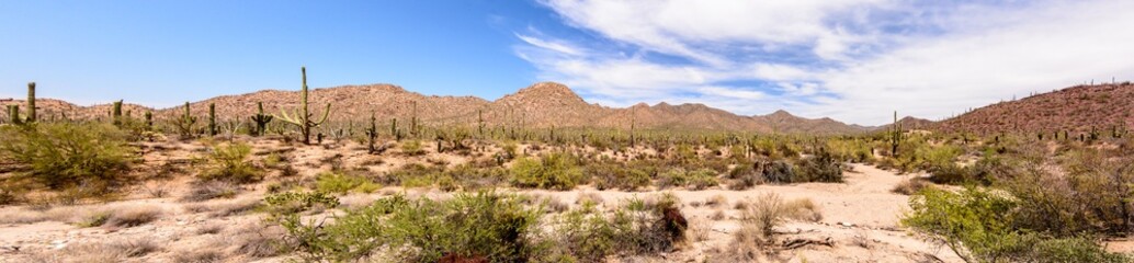 Panoramic View of a Mountain Range with the Desert in the Foreground