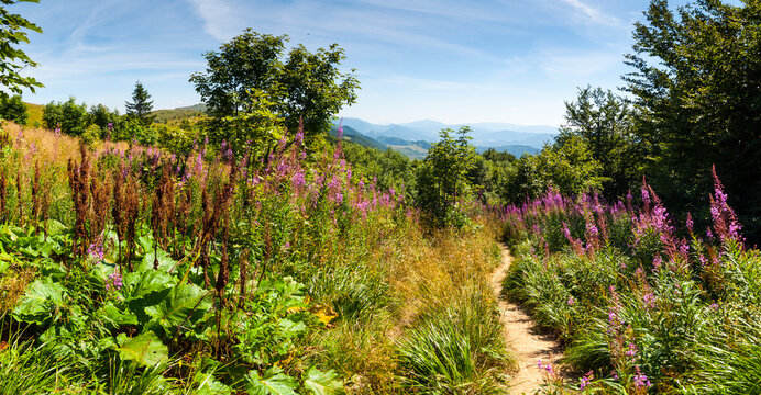 Panorama from the Rozsypaniec summit to the peaks of Tarnica, Halicz, Bukowe Berdko, Krzemien, Polonina Carynska, Kopa Bukowska, Bieszczady Mountains, Wołosate
