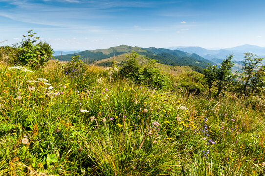 Panorama from the Rozsypaniec summit to the peaks of Tarnica, Halicz, Bukowe Berdko, Krzemien, Polonina Carynska, Kopa Bukowska, Bieszczady Mountains, Wołosate