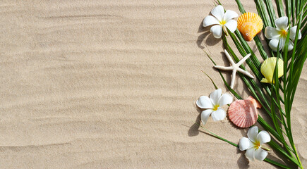 Plumeria flowers with starfish and seashells on tropical palm leaves on sand. Summer background concept