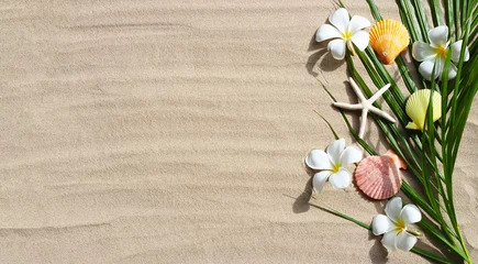 Rollo Plumeria flowers with starfish and seashells on tropical palm leaves on sand. Summer background concept © Bowonpat