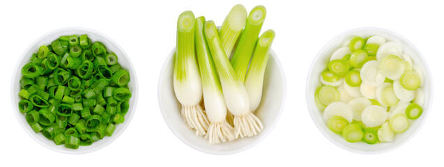 Fresh scallion bulbs and sliced scallions, in white bowls. Green onions, also called spring onions or sibies, a vegetable with mild onion taste, can be eaten raw or cooked. Close-up, macro food photo.