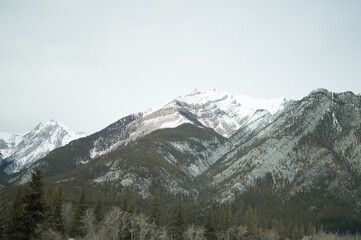 Fototapeta na wymiar Canadian Snow Peaks Forest