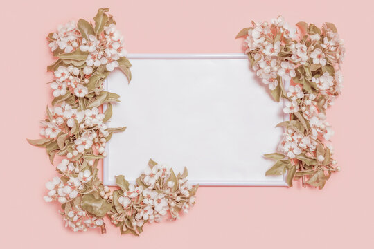 Creative layout with blossoming pear branches and photo frame on pastel pink background. Spring minimal concept. Flat lay, copy space, top view. Toning process .