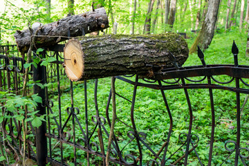 A bent metal fence on which a tree fell, a strong blow bent the fence