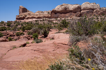 Desert scenery and rock formations at Island in the Sky district of Canyonlands National Park at the Green River overlook