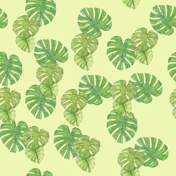 Estampa Costela de Ad&atilde;o 1.
Ilustra&ccedil;&atilde;o feita a partir de desenhos manuais que trazem a alma tropical brasileira