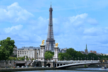 Fototapeta na wymiar Paris skyline with Alexander Bridge over the River Seine