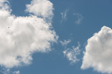 clouds in the sky