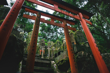 View through torii gates to moss covered temple shrine at Fishimi Inari Taisha in Kyoto, Japan