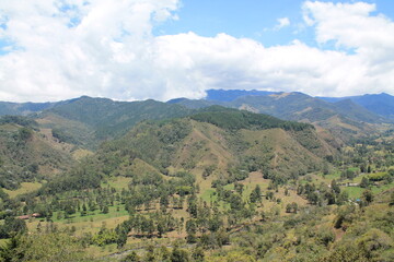 Fototapeta na wymiar Salento Valle del Cocora