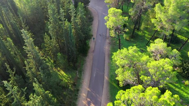 Aerial Forward Shot Of Person Running Amidst Forest, Drone Flying Over Road During Day - Ben Shemen, Israel