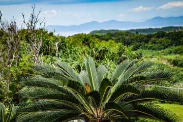沖縄の空と海と城址