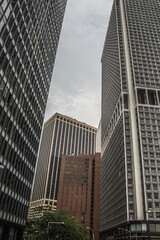 Panoramic view of buildings. Urban landscape. Contrapicado plane. New York.