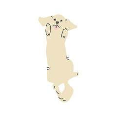 寝っ転がっている一匹の茶色いミニチュアダックスフンドのイラスト