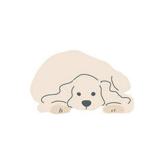 伏せて寝ている一匹の茶色のアメリカンコッカースパニエルのイラスト