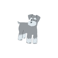 立っている一匹のグレーのミニチュアシュナウザーのイラスト