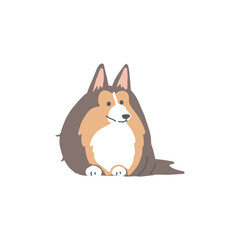 伏せをしている一匹の茶色のシェットランドシープドッグのイラスト