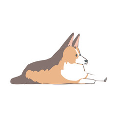 伏せをしてリラックスをしている一匹の茶色のシェットランドシープドッグのイラスト