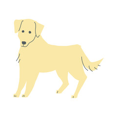 立ってこちらを見ている一匹のクリーム色のゴールデンレトリバーのイラスト