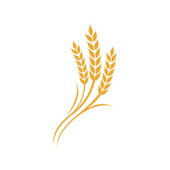 Wheat rice agriculture logo Inspiration vector