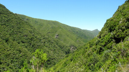 Island of Madeira