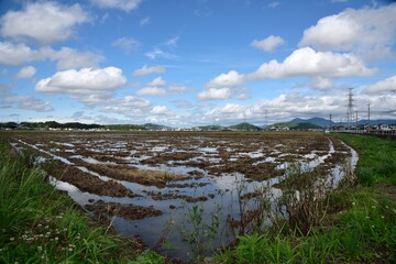 Fototapeta na wymiar 田植えのシーズン、水張りが始まった田園地帯