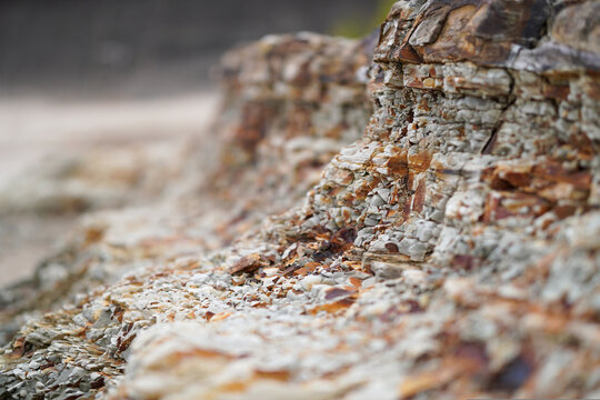 Atomaki Photos Images Assets Adobe Stock