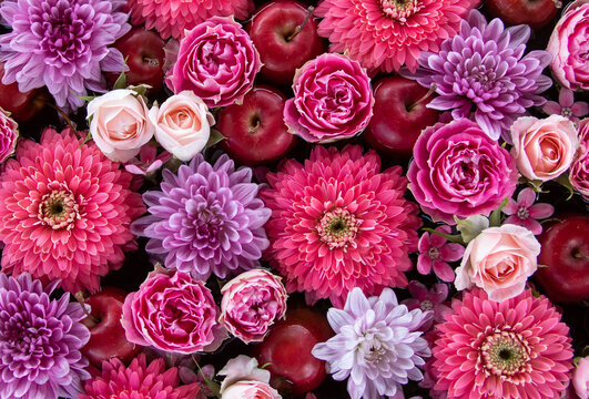 Purple and pink flower arrangement. Astors, dahlias, roses, apples