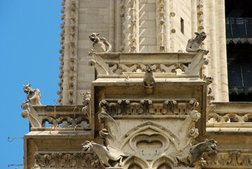 Paris Notre Dame Cathedral Gargoyles