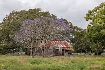 Rustic, abandoned, old house in rural NSW, Australia