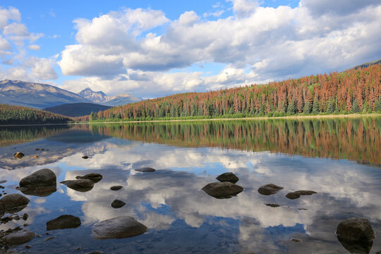 Pyramid Lake with Reflections of trees, stones and clouds in water. Photo shoot on a serene summer morning, Jasper National Park