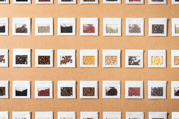 Isolated colorful seeds of different vegetables and spices in small handcrafted envelopes or...