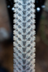 detail of bicycle wheel grip pattern, bicycle concept