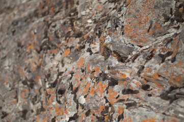 Granite Texture Detail