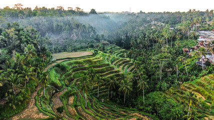 Fototapeta na wymiar Drone Shot of Rice Terrace in Bali Called Tegalalang Rice Terrace 