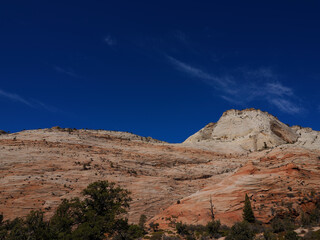 Fototapeta premium Magnificent scene in Zion National Park