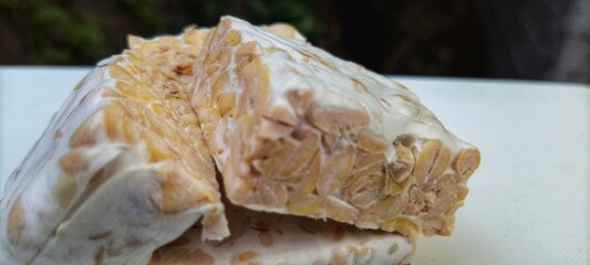 tempe or tempeh, is a traditional Indonesian food. made from fermented soybeans.