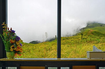 Morning fog and meadow in the window view