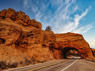 Magnificent scene in Zion National Park