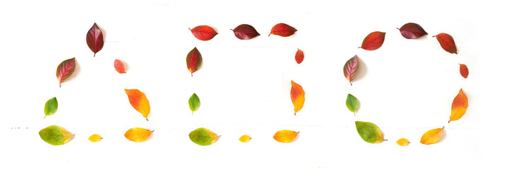 Geometry autumn, leaves in different shapes, circle, square and triangle, banner. High quality photo