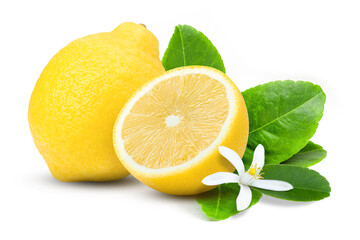lemon with leaves and flower on white. - obrazy, fototapety, plakaty