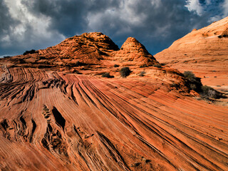 Golden Wave at sunset - The Wave at the border of Arizona and Nevada