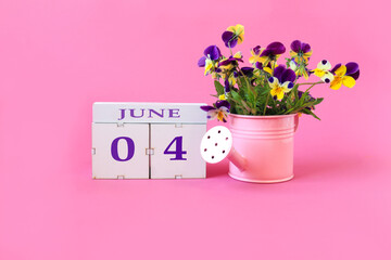 Calendar for June 4 : the name of the month of June in English, cubes with the numbers 0 and 4, a bouquet of viola in a pink watering can on a pink background, side view