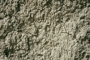 Naklejka premium Texture for the background. Wood and stone.